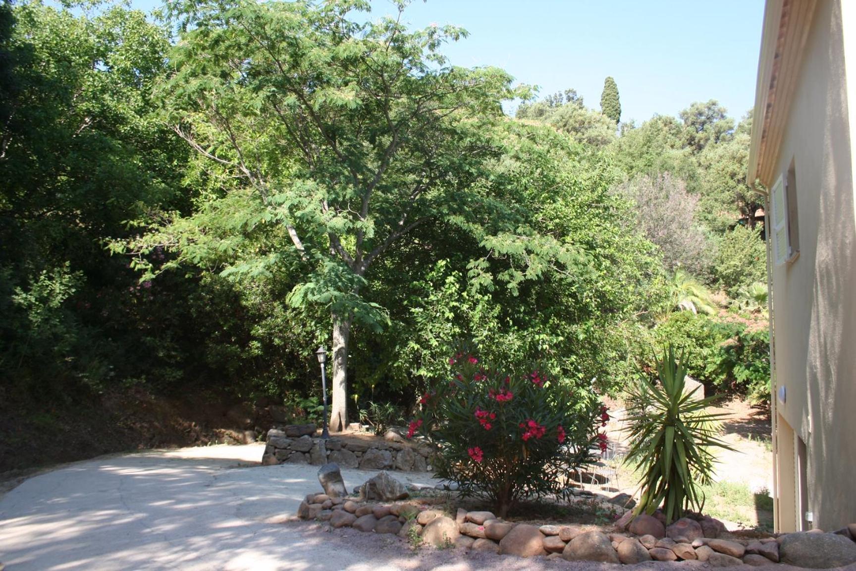 Costa Di Sognu Villa Exterior photo